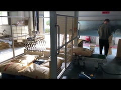 máquina aplainando e palletizing automática, palletizer de baixo nível